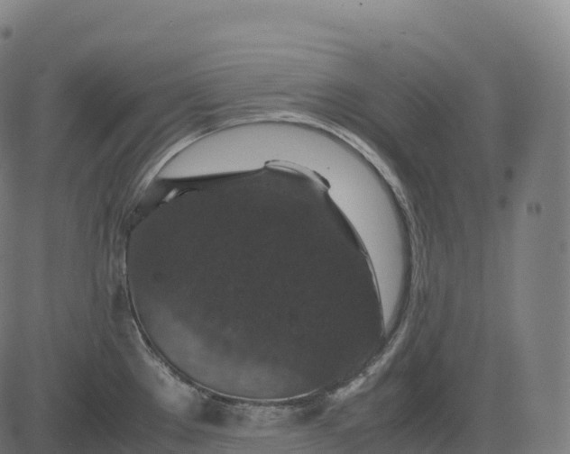 X0000082721289200702091803