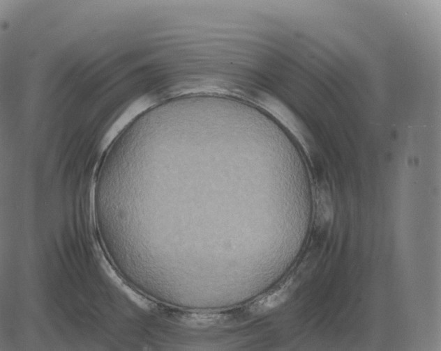 X0000082721290200702091803