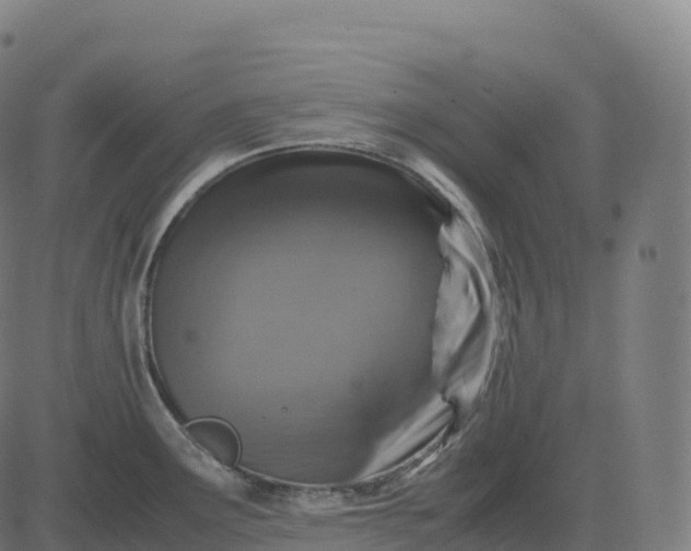 X0000082721291200702091803