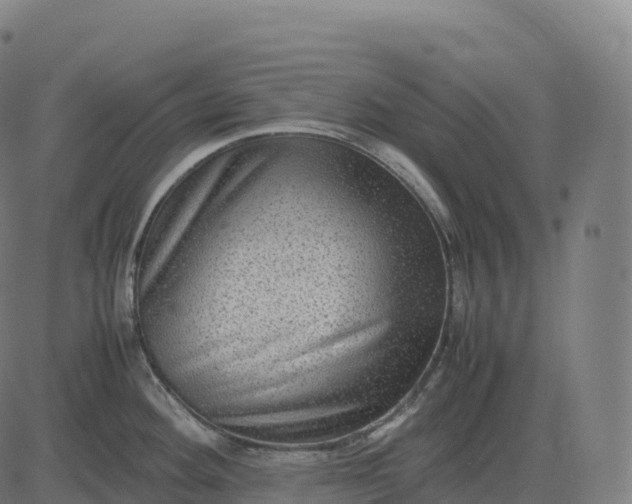 X0000082721292200702091803