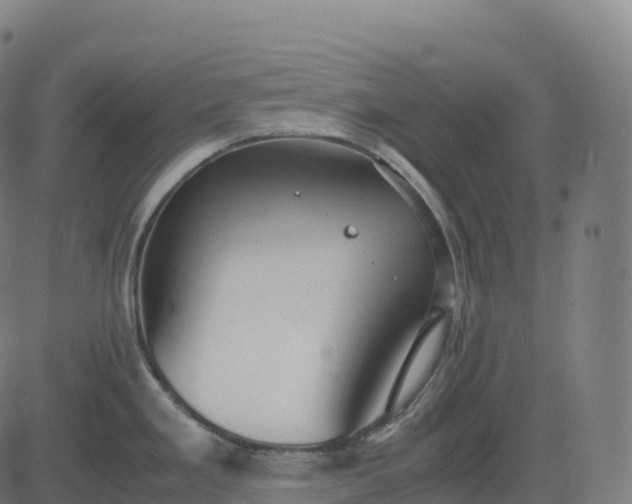 X0000082721293200702091803