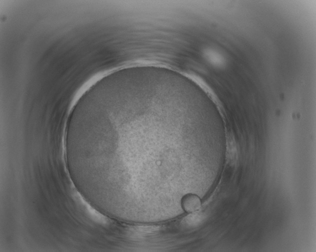 X0000082721294200702091803