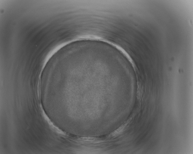 X0000082721295200702091803