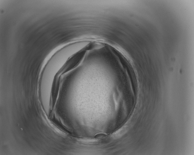 X0000082721296200702091803