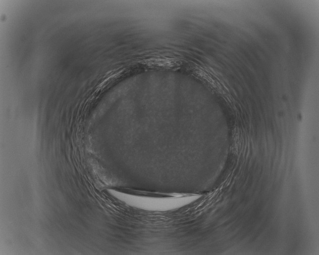 X0000082721297200702091802