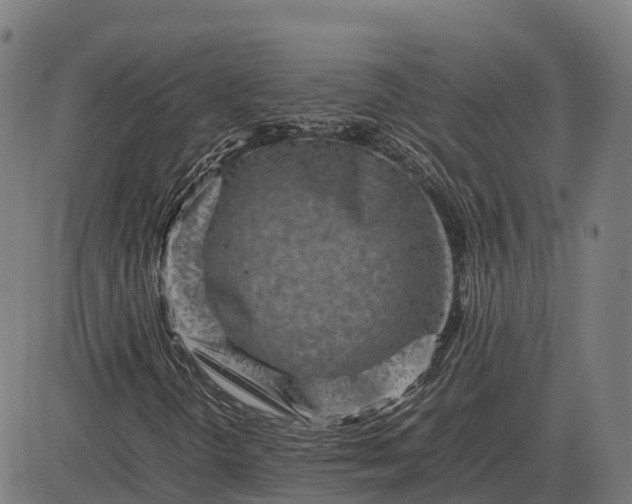 X0000082721298200702091802