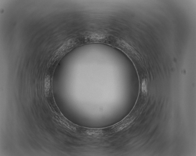 X0000082721299200702091802