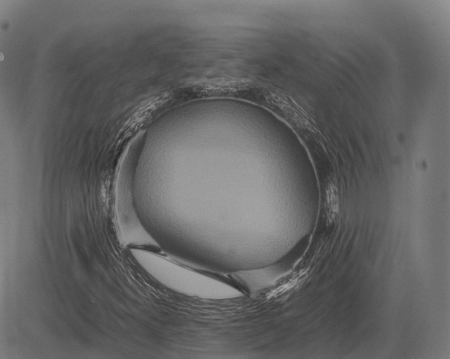 X0000082721300200702091802