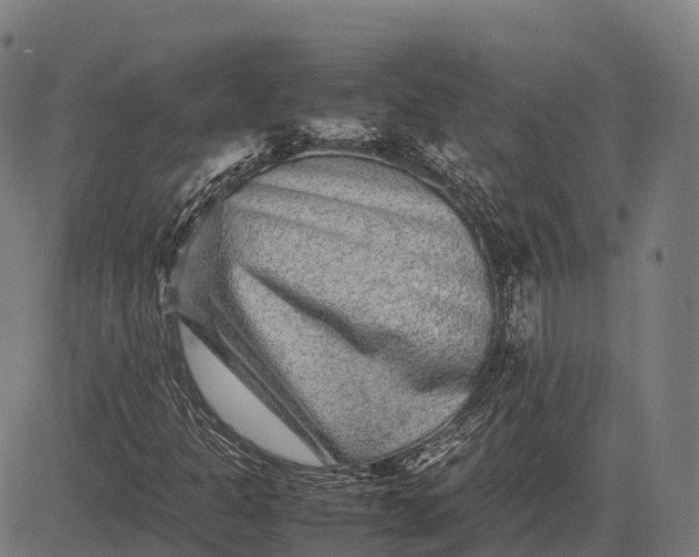 X0000082721301200702091802