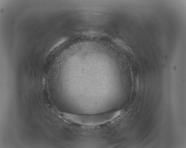 X0000082721302200702091802