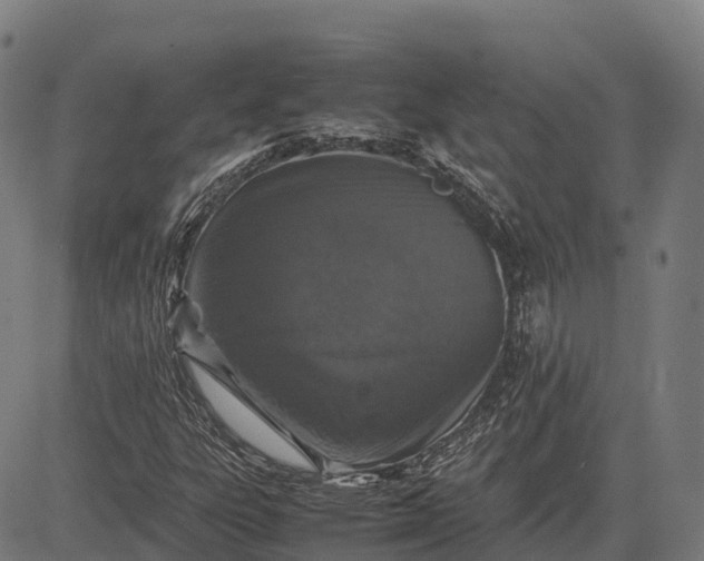 X0000082721303200702091802