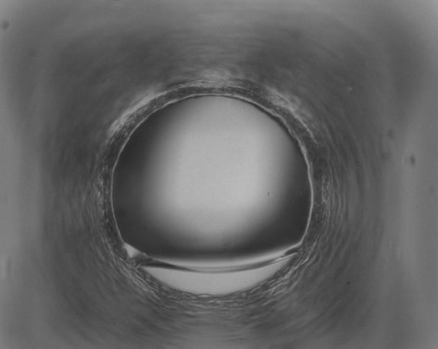 X0000082721304200702091802