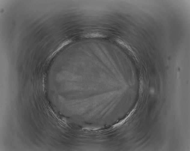 X0000082721305200702091802