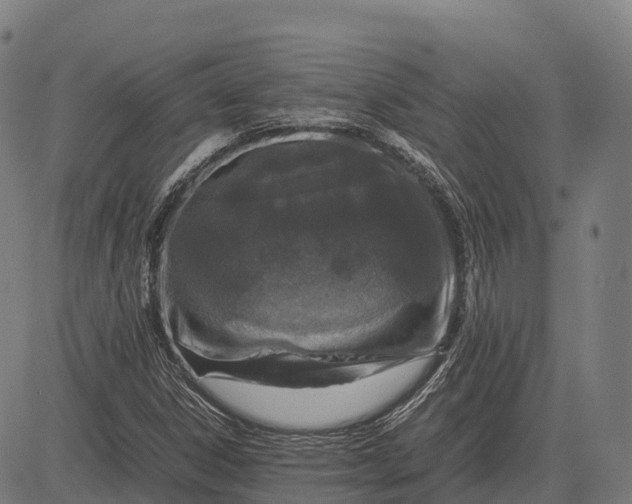 X0000082721306200702091802