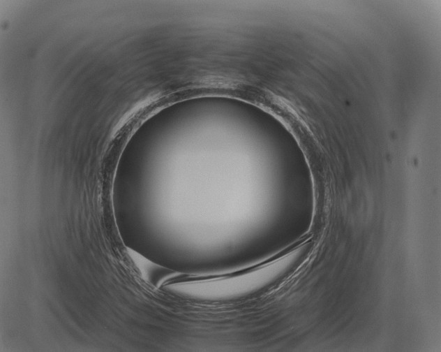 X0000082721307200702091802