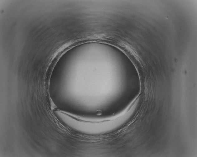 X0000082721308200702091802