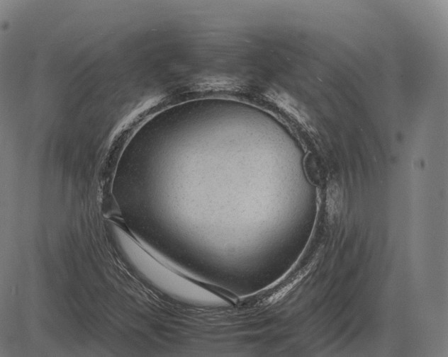 X0000082721309200702091802