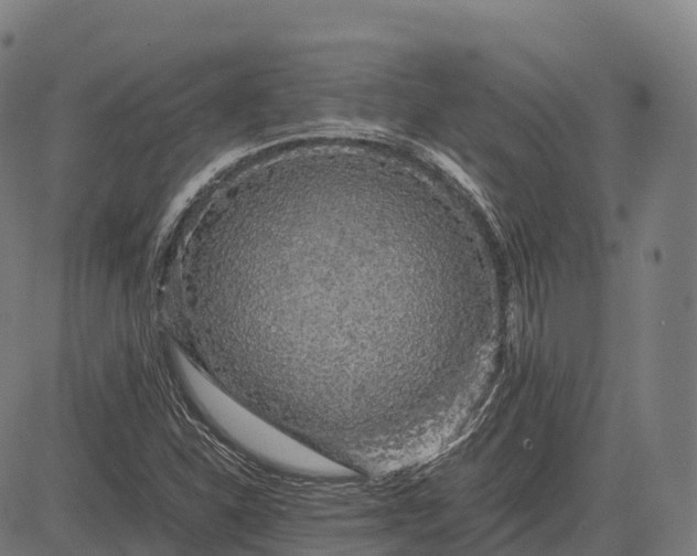 X0000082721310200702091802