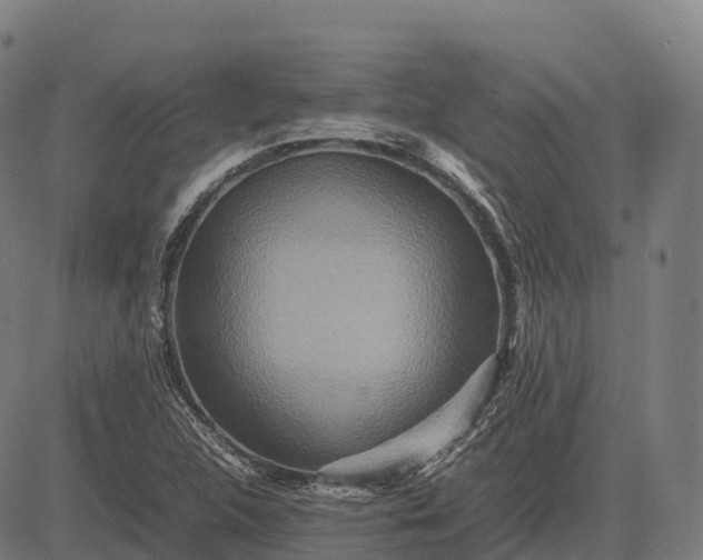 X0000082721312200702091803