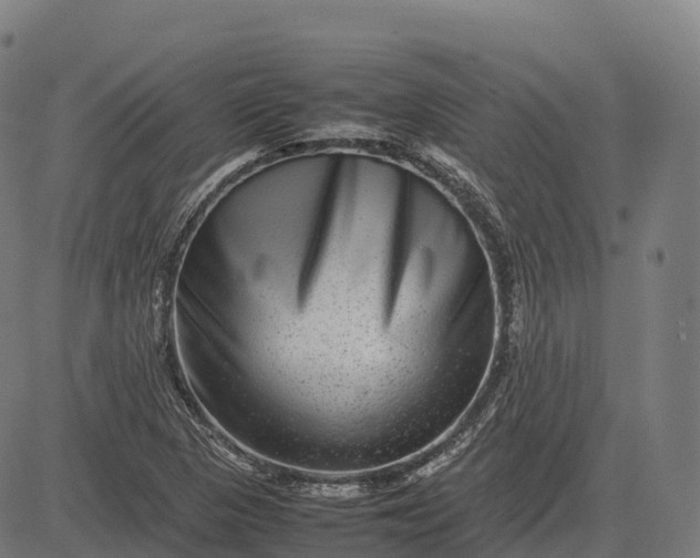 X0000082721313200702091803