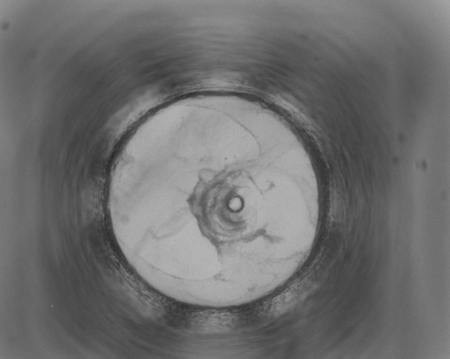 X0000082721314200702091803