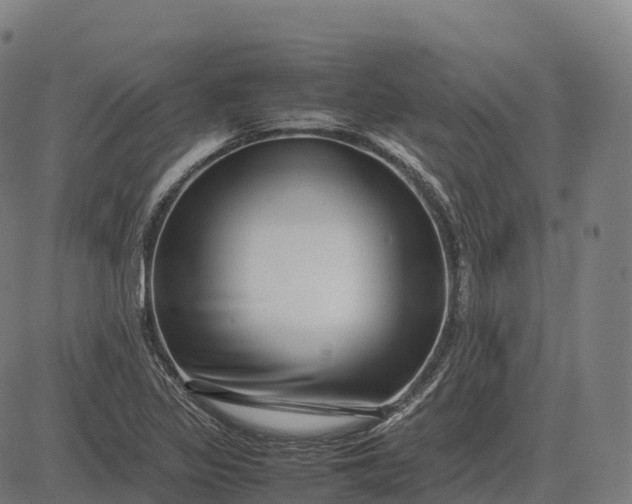 X0000082721317200702091803