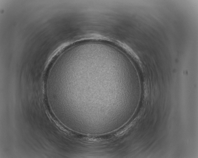 X0000082721318200702091803