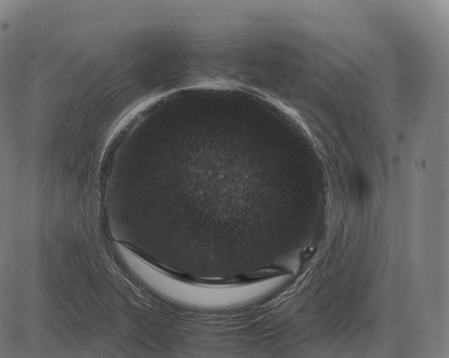 X0000082721319200702091803