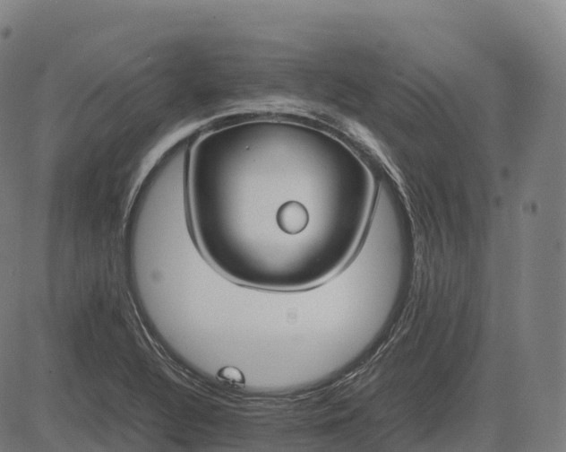 X0000082721320200702091803