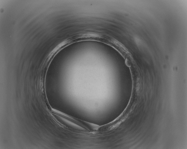 X0000082721321200702091803