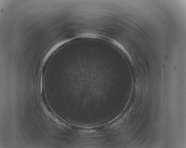 X0000082721323200702091803