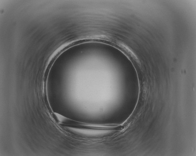 X0000082721324200702091803