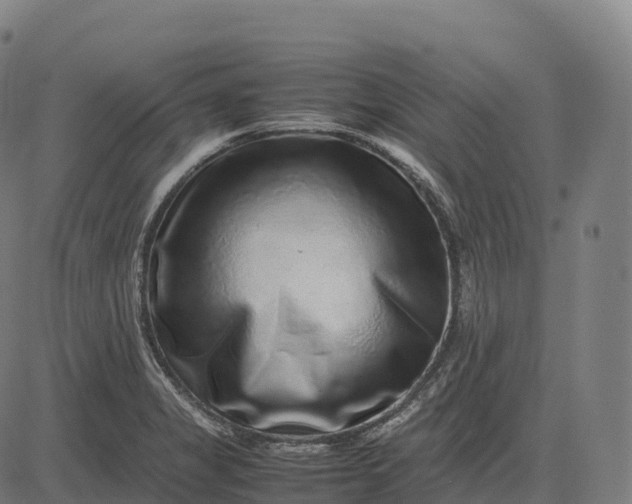 X0000082721325200702091803