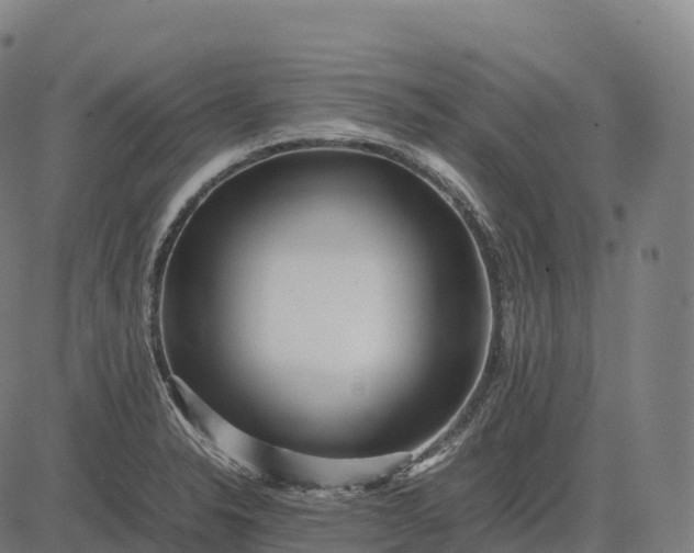 X0000082721326200702091803