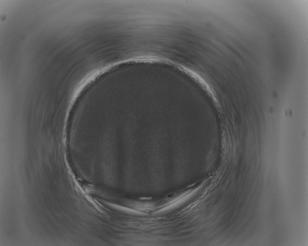 X0000082721327200702091803