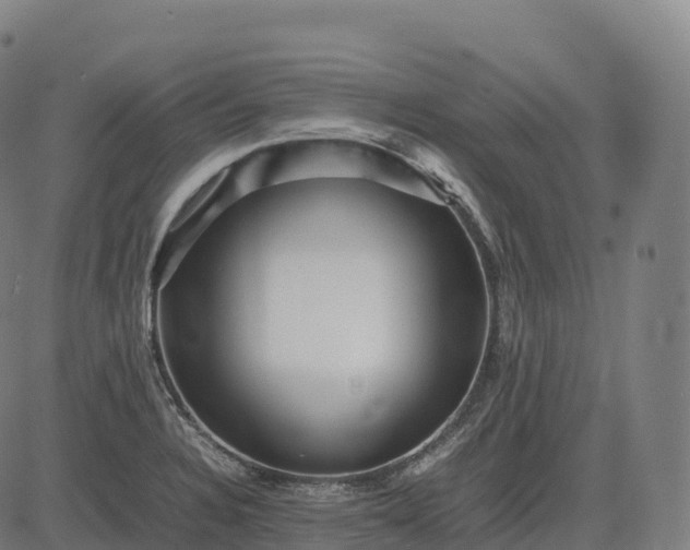 X0000082721328200702091803