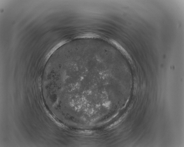 X0000082721329200702091803