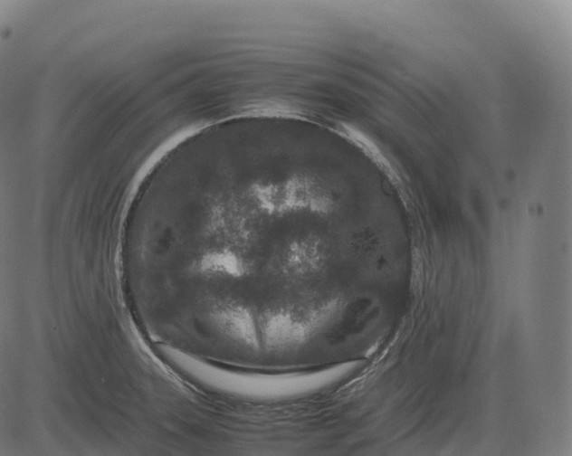 X0000082721331200702091803