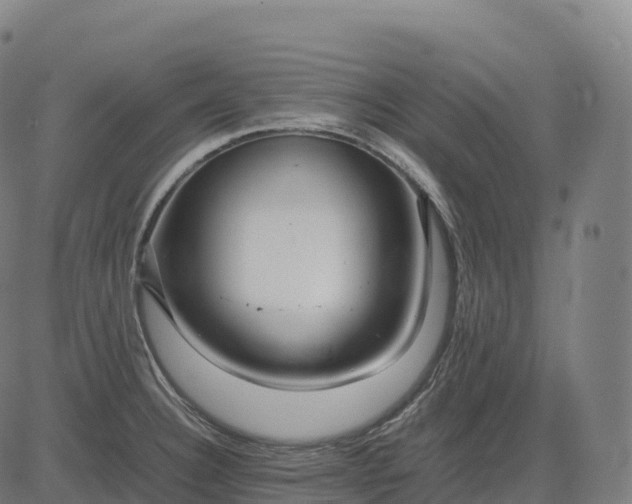 X0000082721332200702091803