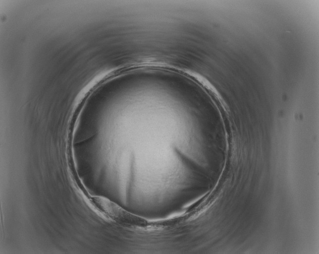 X0000082721333200702091803