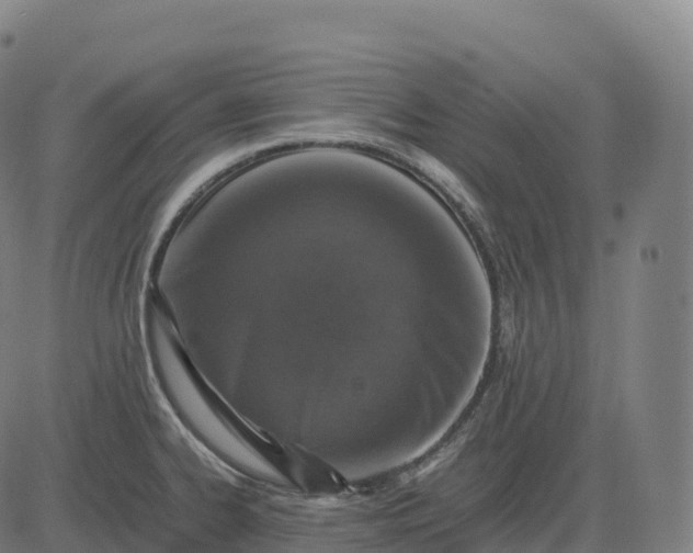 X0000082721334200702091803