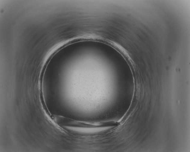 X0000082721335200702091803