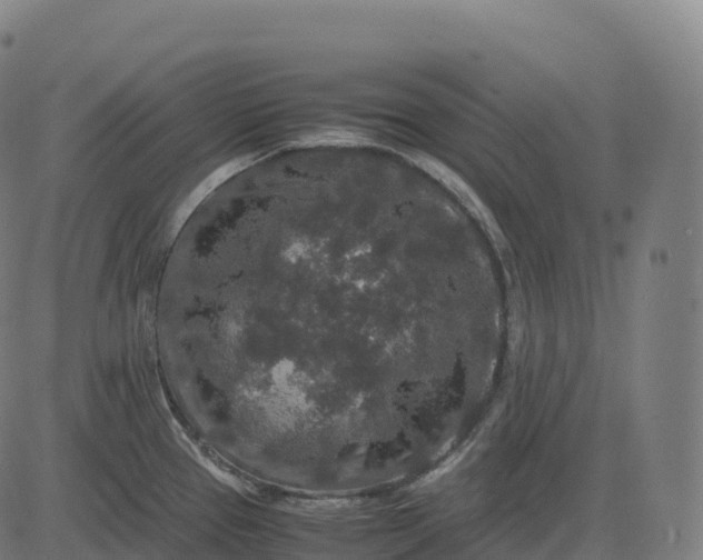 X0000082721337200702091803