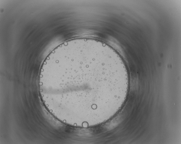 X0000082721338200702091803