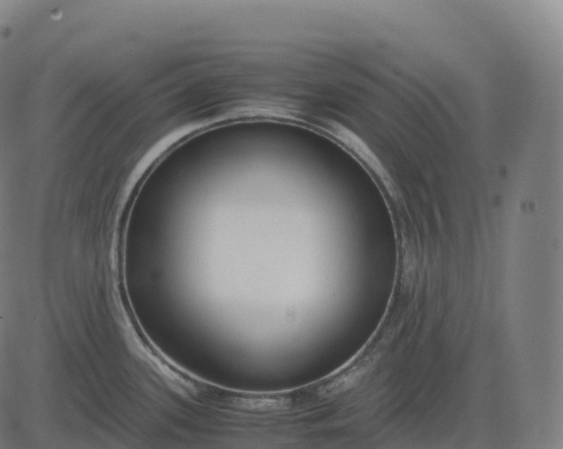 X0000082721339200702091803