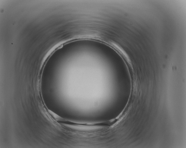 X0000082721340200702091803