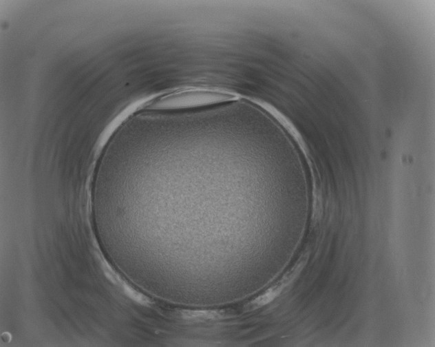 X0000082721341200702091803