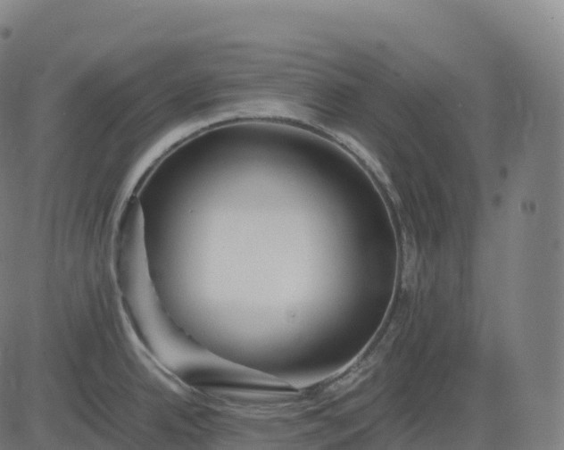 X0000082721342200702091803