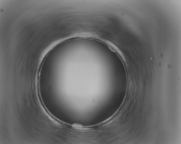 X0000082721343200702091803