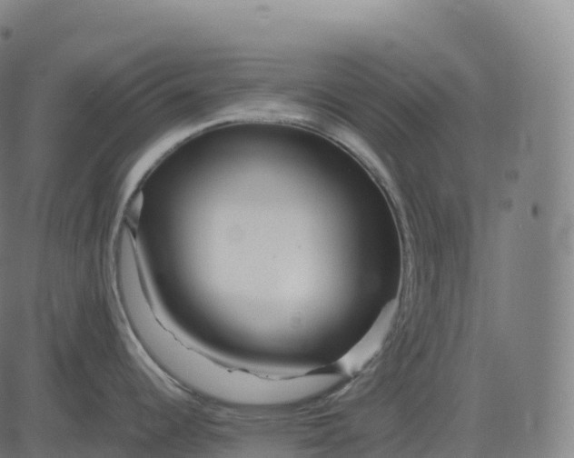 X0000082721344200702091803